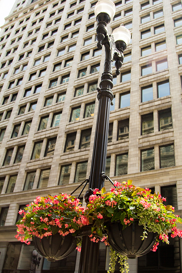 outsidebuildingwithplanters.jpg